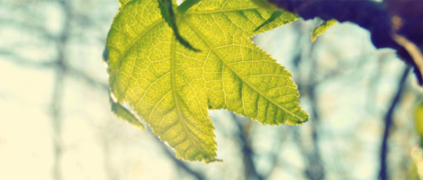 一键问题修复的服务器攻击方式