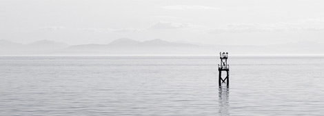 ddos在线攻击测试网站