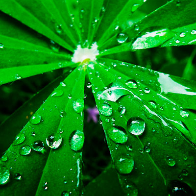 性能卓越稳定的ddos在线攻击工具