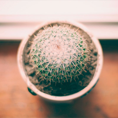 不花钱能用的自动攻击网站工具下载