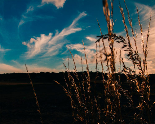 ddos攻击在哪能买到